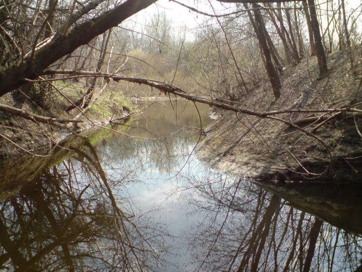 Лабурівка з panoramio.com - Лабуревка