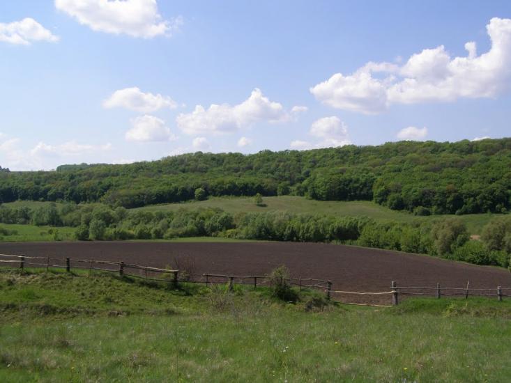 Черкасівка з panoramio.com - Черкасівка