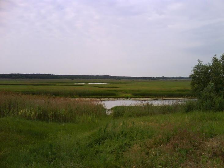 Усть-Лип'янка з panoramio.com - Усть-Липянка