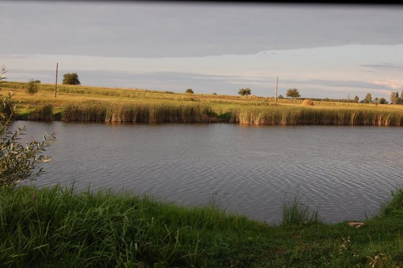 Стара Гребля з panoramio.com - Старая Гребля