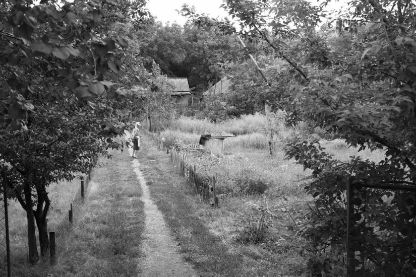 Билбасівка з panoramio.com - Билбасівка