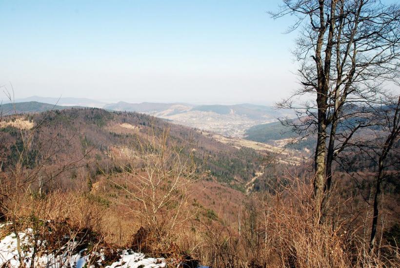 Букове з panoramio.com - Букове