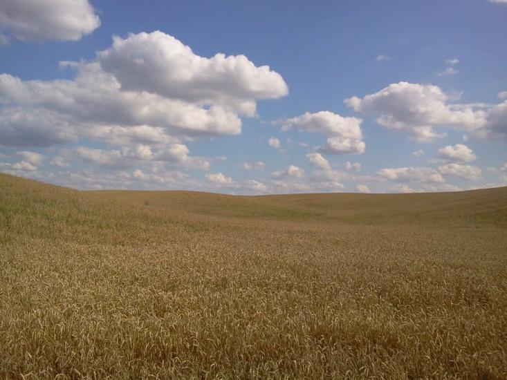 Баїв з panoramio.com - Баїв