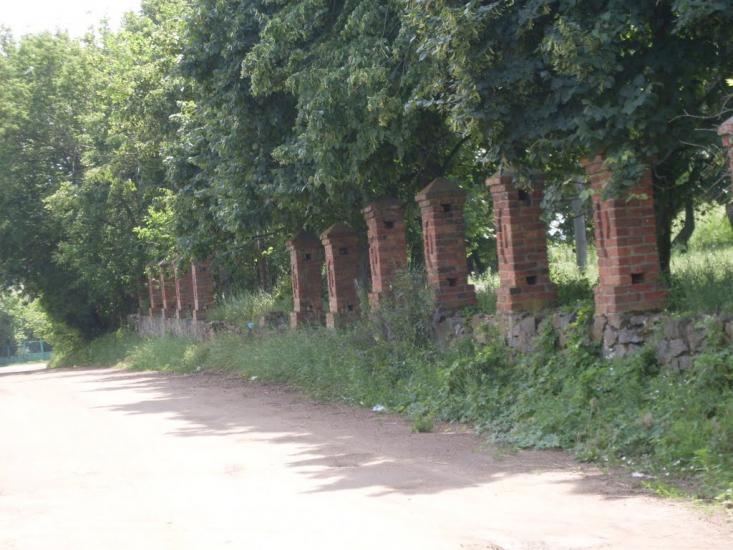 Куна з panoramio.com - Куна