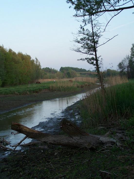 Лозова з panoramio.com - Лозова