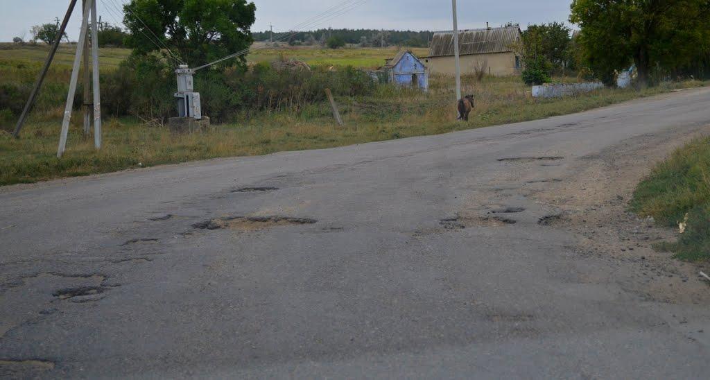 Шеметове з panoramio.com - Шеметове