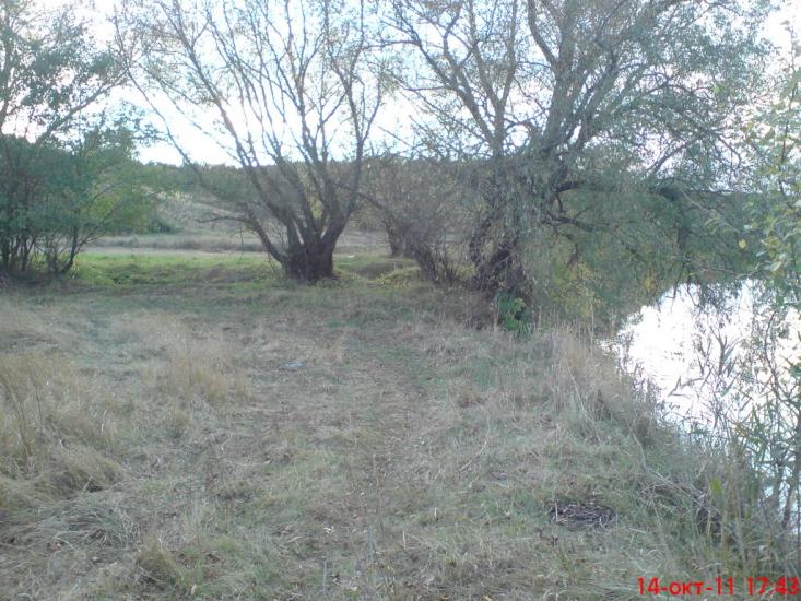 Змійове з panoramio.com - Змеево