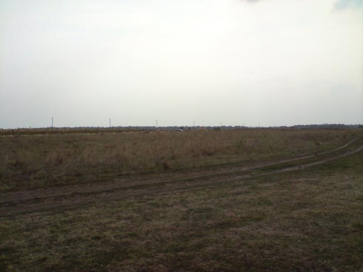 Веселе Поле з panoramio.com - Веселое Поле