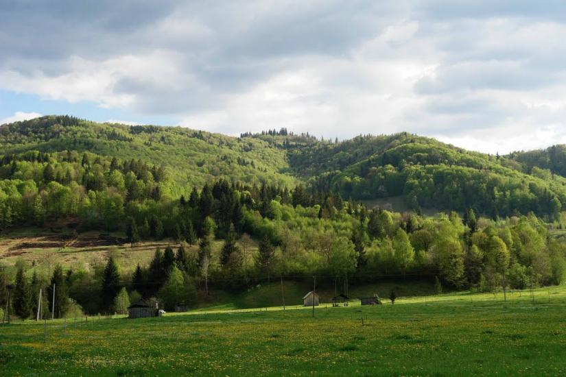 Прокурава з panoramio.com - Прокурава