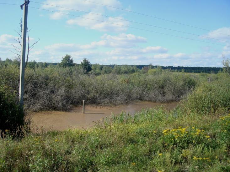 Михайлючка з panoramio.com - Михайлючка