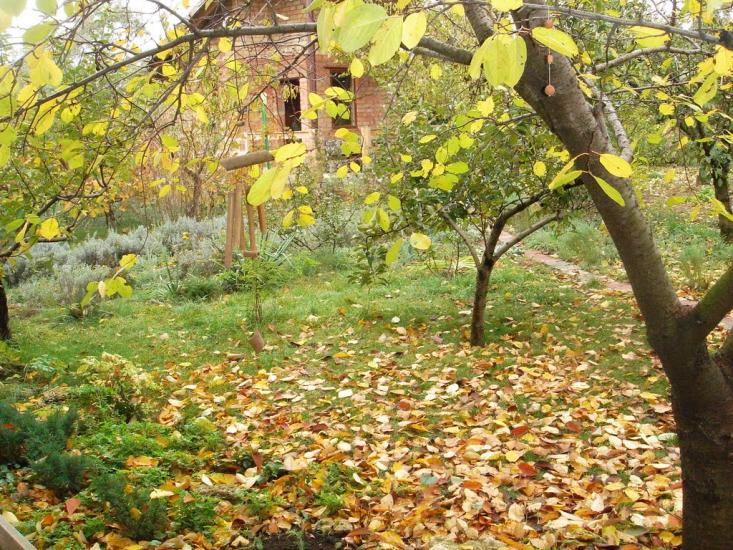 Велика Балка з panoramio.com - Велика Балка