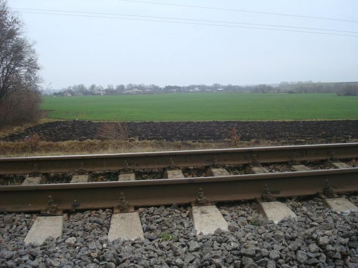 Радісне з panoramio.com - Радостное