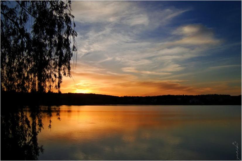 Вільхівка з panoramio.com - Вільхівка