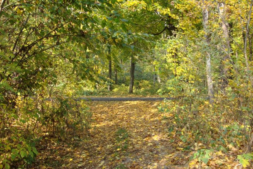 Велика Чернеччина з panoramio.com - Велика Чернеччина