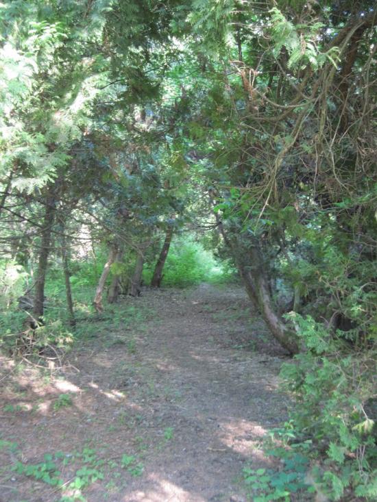 Бабичівка з panoramio.com - Бабичівка