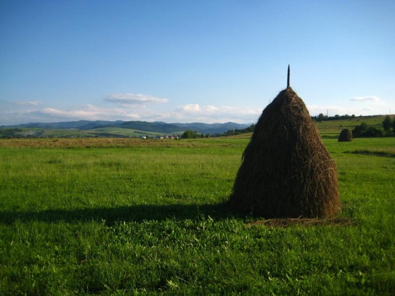 Маркова з panoramio.com - Markova