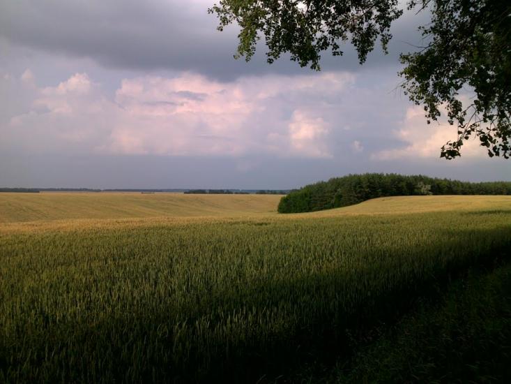 Богатир з panoramio.com - Богатир