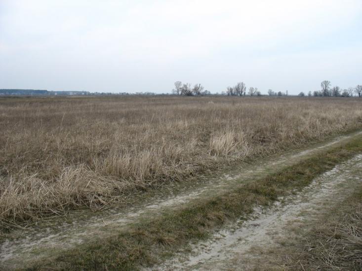 Нижча Дубечня з panoramio.com - Низшая Дубечня