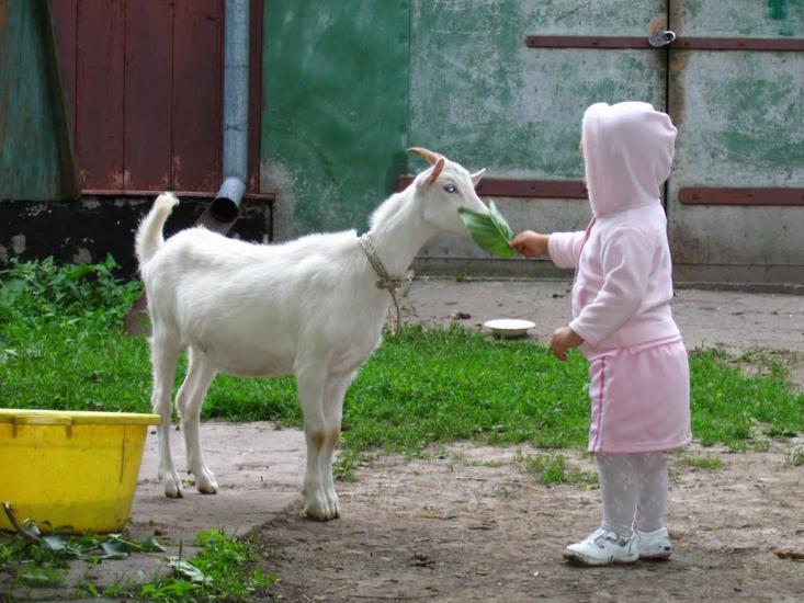 Колесники з panoramio.com - Колесники