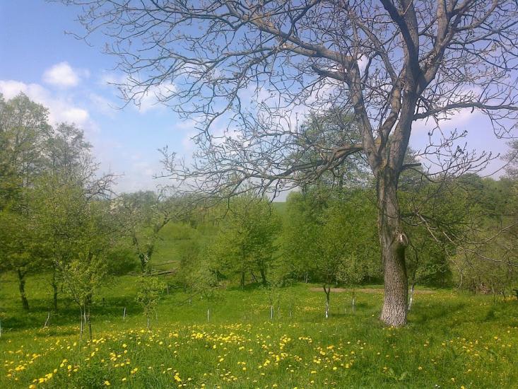 Верхній Майдан з panoramio.com - Верхній Майдан