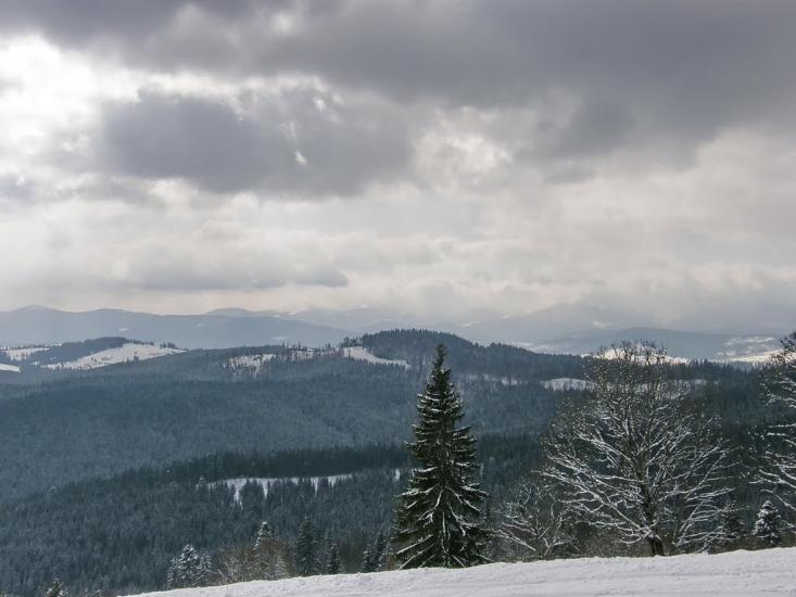 Стебний з panoramio.com - Стебний