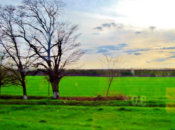 Неморож з panoramio.com - Неморож