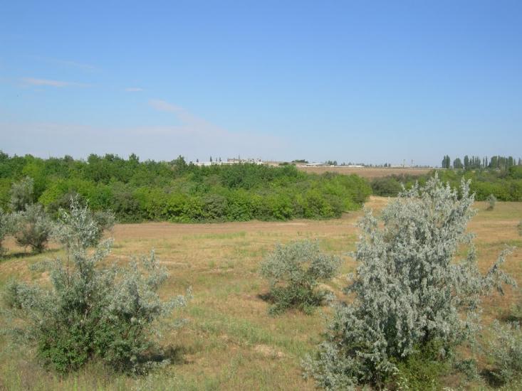 Пересадівка з panoramio.com - Пересадовка
