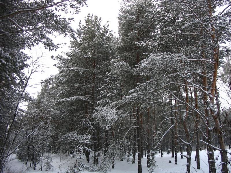 Горянівське з panoramio.com - Горяновское
