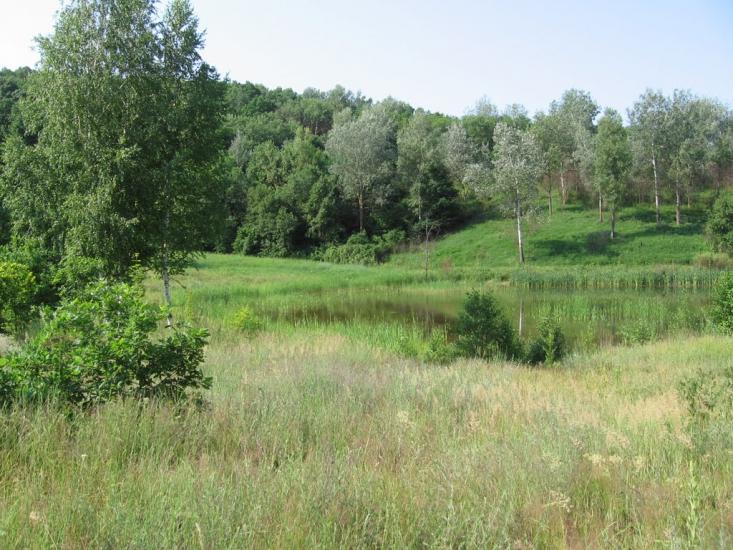 Таранівка з panoramio.com - Тарановка