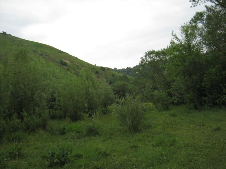 Сокілець з panoramio.com - Соколец