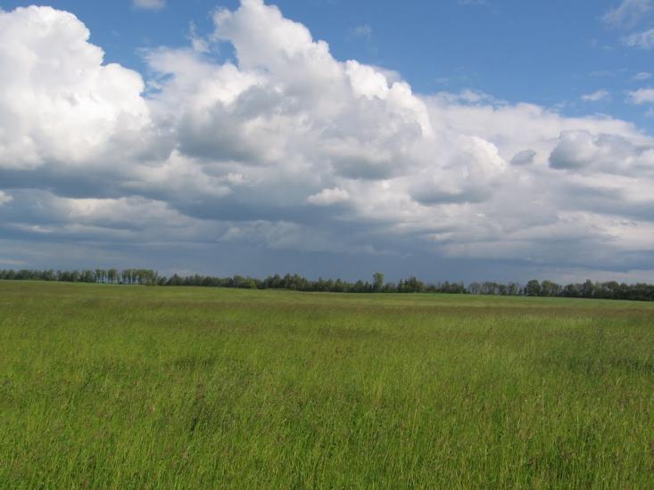 Терехівка з panoramio.com - Тереховка