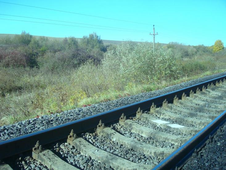 Западинці з panoramio.com - Западинці