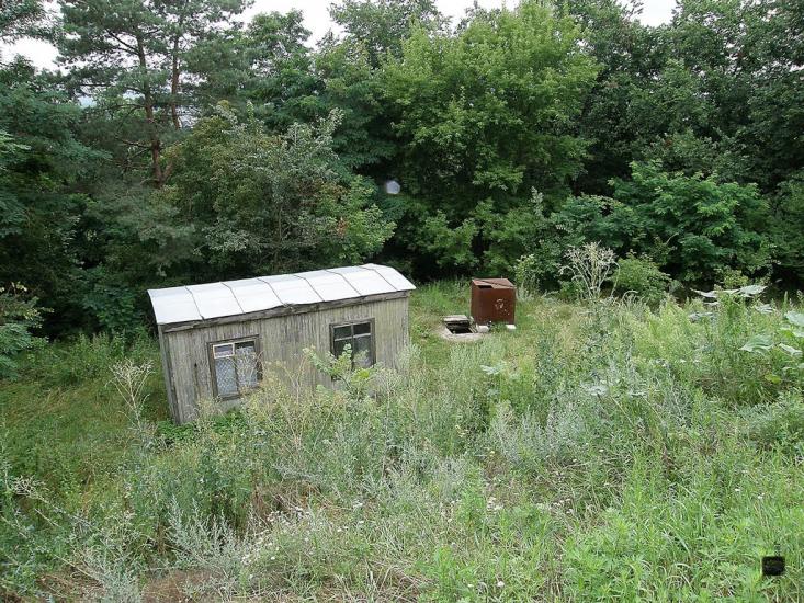Чернеччина з panoramio.com - Чернеччина