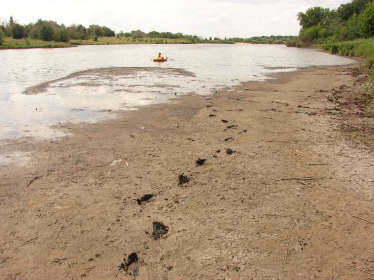 Водянське з panoramio.com - Водянське