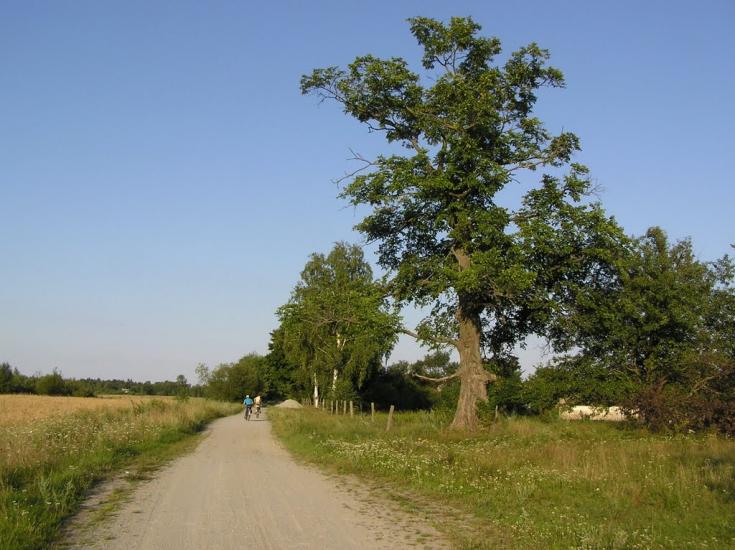 Бондарівка з panoramio.com - Бондарівка