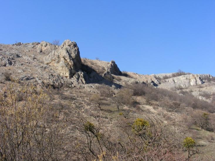 Дружне з panoramio.com - Дружне