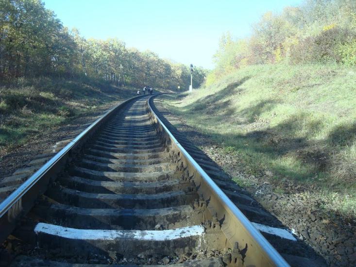 Щиборівка з panoramio.com - Щиборовка