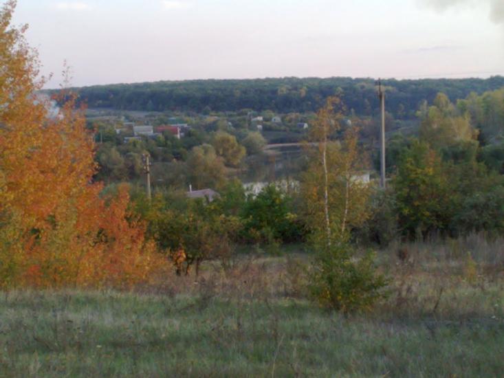 Питомник з panoramio.com - Питомник
