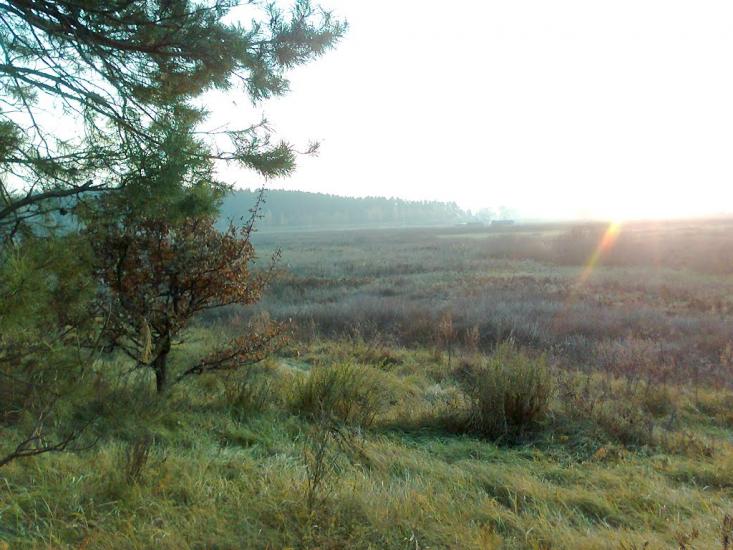 Русанів з panoramio.com - Русанов