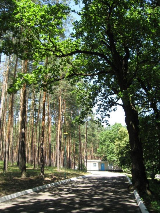 Шипилівка з panoramio.com - Shypylivka