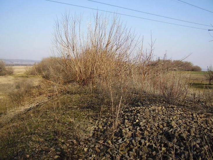 Фрунзе з panoramio.com - Фрунзе