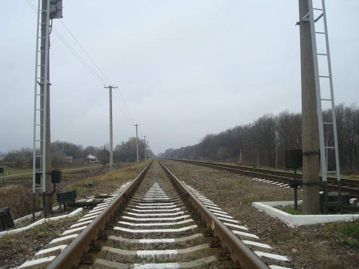 Воронківці з panoramio.com - Воронковцы