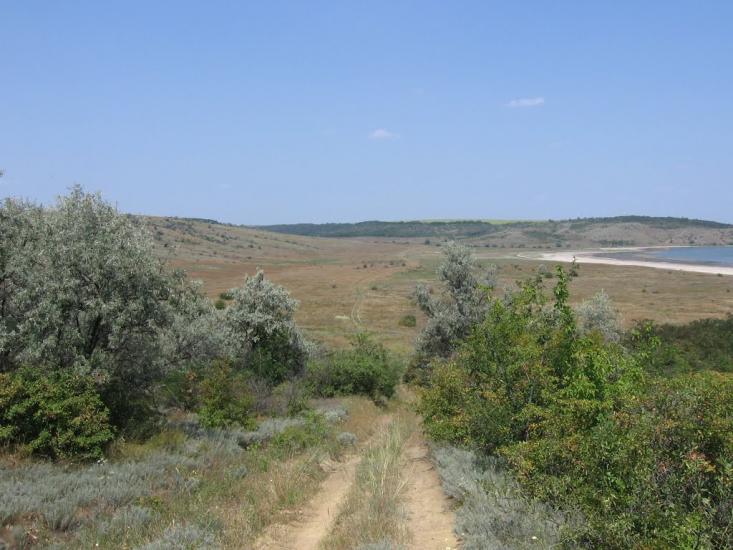 Калинівка з panoramio.com - Калиновка