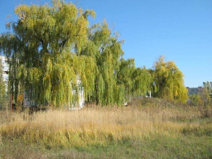 Ківшарівка з panoramio.com - Ківшарівка