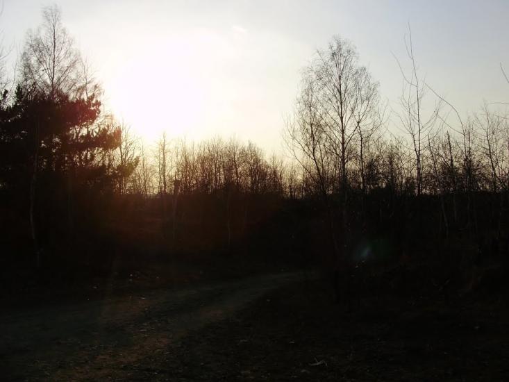 Голодьки з panoramio.com - Голодьки