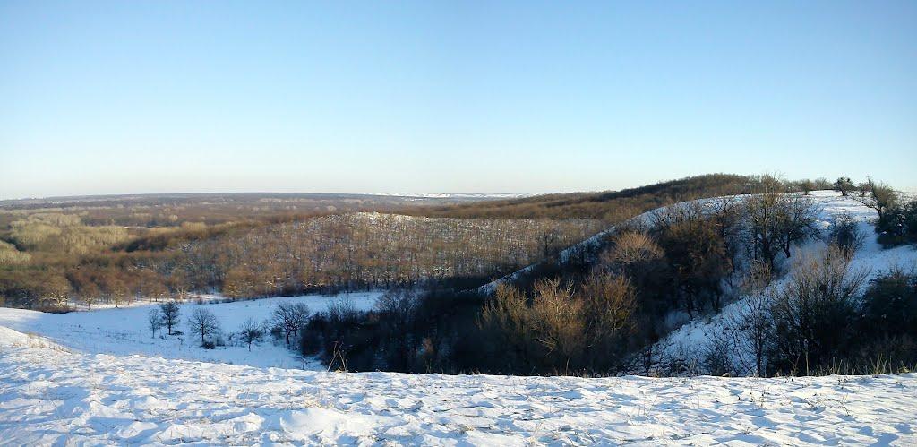 Донецьке з panoramio.com - Donetske