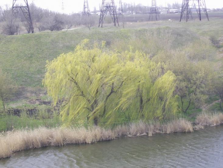 Степне з panoramio.com - Степное