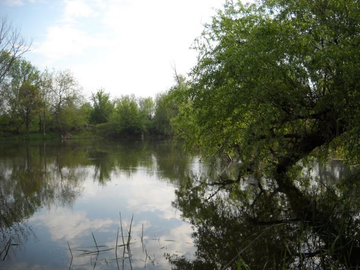 Довге з panoramio.com - Долгое