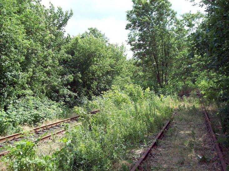 Бездрик з panoramio.com - Бездрик