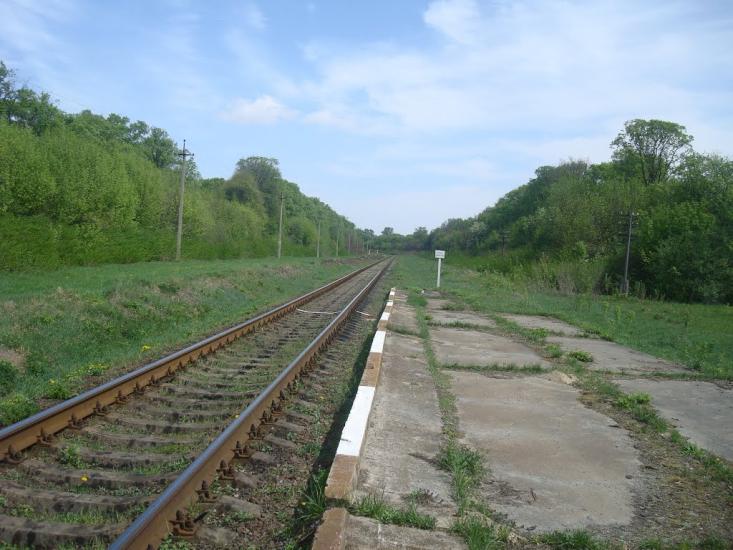 Старі Бейзими з panoramio.com - Старі Бейзими